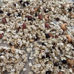 Breakfast granola with nuts and raisins on baking tray