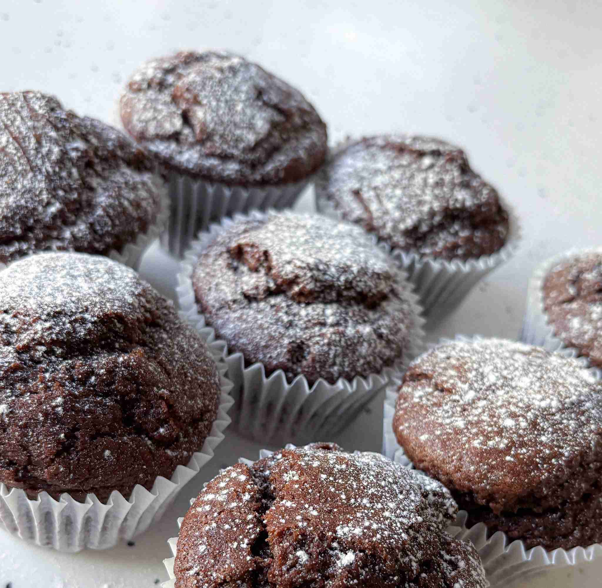 Olive Oil Chocolate Muffins dusted with powdered sugar